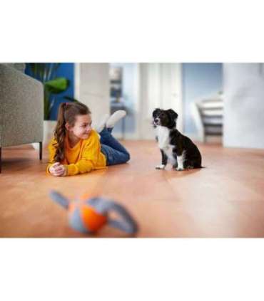 Philips PowerPro Expert FC9745/09 vacuum 2 L Cylinder vacuum Dry 900 W Bagless