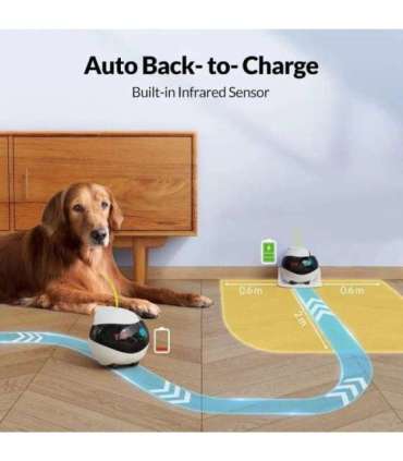 ENABOT Ebo Air AI Robot White and Black