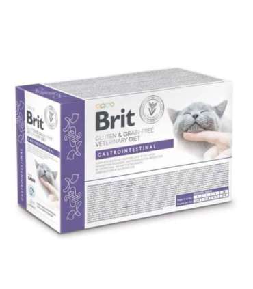 Brit VD Cat Pouch fillets in Gravy Gastrointest 12x85g
