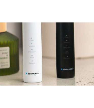Blaupunkt DTS201WH electric toothbrush, white