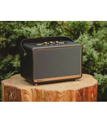 Tracer M45 speaker TWS bluetooth 45W black TRAGLO47248