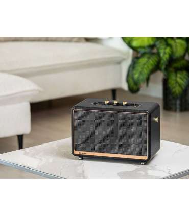 Tracer M45 speaker TWS bluetooth 45W black TRAGLO47248