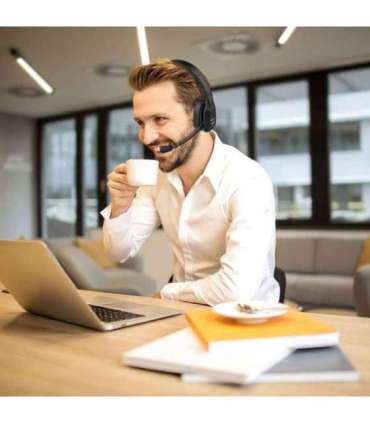 Audiocore 74452 Bluetooth Headset Headphone Noise Reuction Microphone Call CenterGoogle Siri Office Wireless