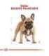 ROYAL CANIN French Bulldog Adult - dry dog food - 3 kg