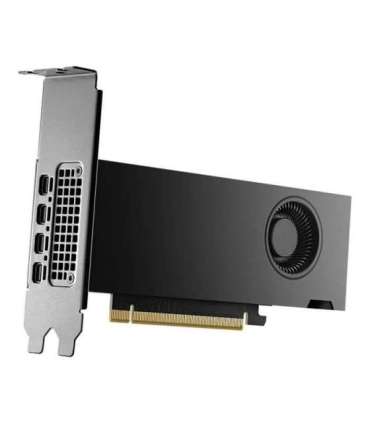 PNY NVIDIA RTX 2000 Ada Generation 16 GB GDDR6