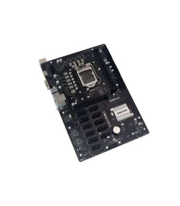 BIOSTAR TB560-BTC PRO motherboard