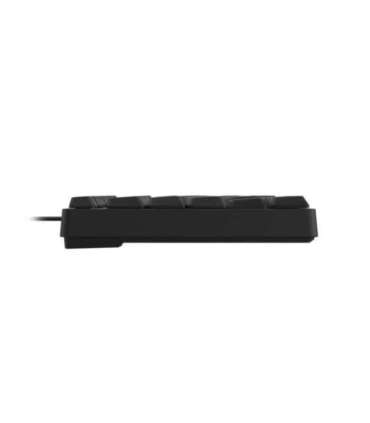 Savio KB-01 keyboard Home/Office USB QWERTY US English Black