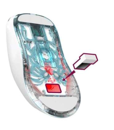 WIRELESS MOUSE DEFENDER FAME GM-516 RF+BT 10000DPI 6P WHITE