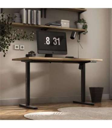 Xeno 2.1 Electric Bas