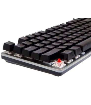 iBox Aurora K-4 keyboard USB QWERTY Black