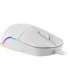 WIRED MOUSE DEFENDER AZORA MB-241 RF WHITE 1200dpi 3P