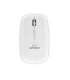 Esperanza EM120W mouse RF Wireless Optical 2400 DPI