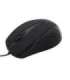 Esperanza EM102K mouse USB Type-A Optical 800 DPI
