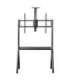 Maclean TV stand / cart, camera shelf, on casters, 55-100", max load 120kg/10kg shelf, max. VESA 900x600, black, MC-114