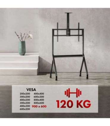 Maclean TV stand / cart, camera shelf, on casters, 55-100", max load 120kg/10kg shelf, max. VESA 900x600, black, MC-114