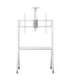 Maclean TV stand / cart, camera shelf, on casters, 55-100", max load 120kg/10kg shelf, max. VESA 900x600, white, MC-114