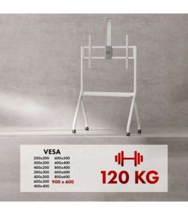 Maclean TV stand / cart, camera shelf, on casters, 55-100", max load 120kg/10kg shelf, max. VESA 900x600, white, MC-114