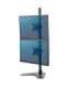Fellowes Ergonomics freestanding arm for 2 monitors - Seasa vertical - former Professional Series™