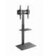 Gembird TVS-55T-02 TV floor stand, 32" - 55", black