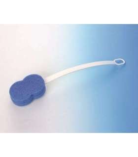 Sponge on the handle