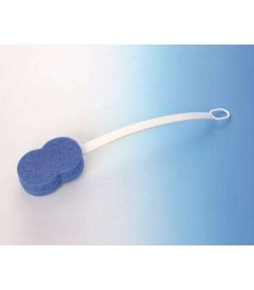 Sponge on the handle