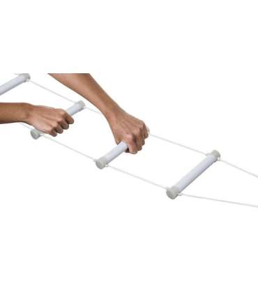 Rehabilitation bed ladder fluorescent