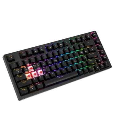 SAVIO PHENIX Wireless mechanical keyboard, Gateron Red Pro, ABS