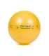 ABS rehabilitation ball with pump 45cm