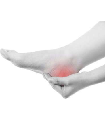 Comfortable Scholl AIR BAG BACK STRAP sandals, brown, size 44