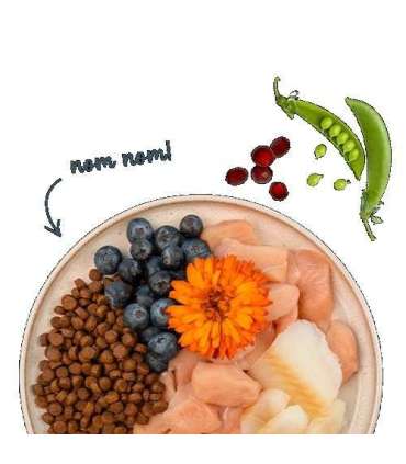 BOSCH Sanabelle Adult Pstrąg 2kg