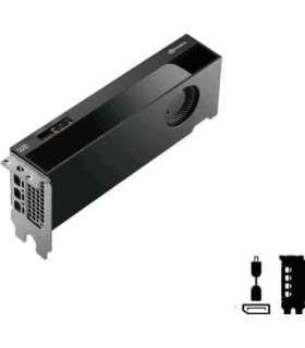 PNY RTX PRO 4000 Blackwell SFF VCNRTXPRO4000LP-PB