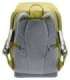 Deuter Waldfuchs 10 Children's hiking backpack, green