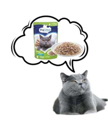 PREVITAL Cat Food Sterile Poultry in Sauce - Wet Cat Food - Pouch 100 g