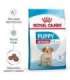 Royal Canin Medium Puppy 4 kg Maize, Poultry