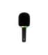 Karaoke microphone with Bluetooth speaker KARAOKE IDOL BT MT399