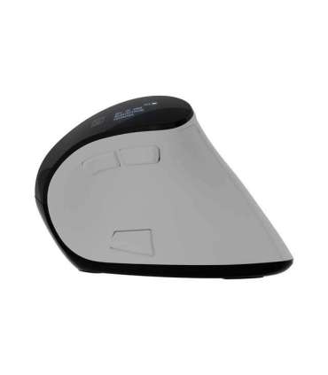 NATEC WIRELESS MOUSE EUPHONIE PRO 4000DPI SILENT