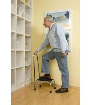 Step with handrail - bath step