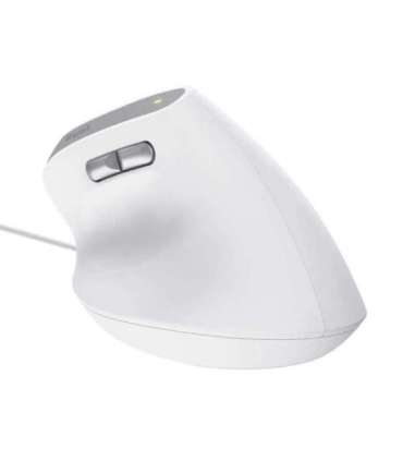 Trust Bayo II mouse Office Right-hand USB Type-A Optical 2400 DPI