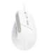 Trust Bayo II mouse Office Right-hand USB Type-A Optical 2400 DPI