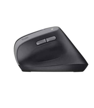 Trust TM-270 mouse Office Right-hand RF Wireless Optical 2400 DPI