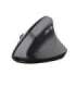 Trust TM-270 mouse Office Right-hand RF Wireless Optical 2400 DPI