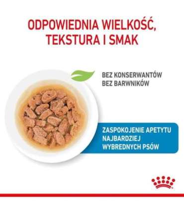 ROYAL CANIN Mini Puppy - wet dog food - 12x85g