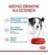 ROYAL CANIN Mini Puppy - wet dog food - 12x85g