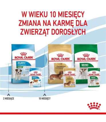 ROYAL CANIN Mini Puppy - wet dog food - 12x85g