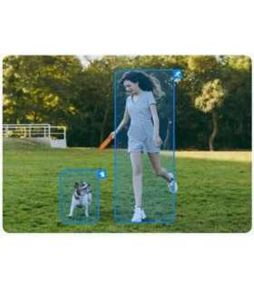 Reolinmk Argus Series B430 Smart 5MP Pan & Tilt Wire-Free Camera, Black Reolink