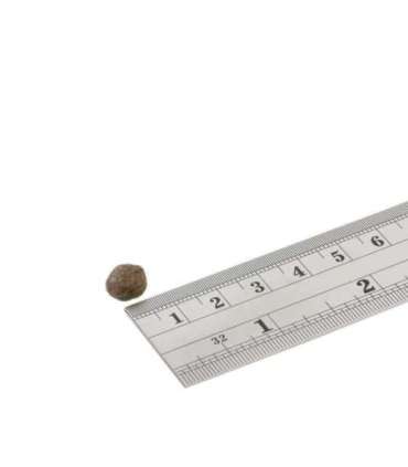 Fish4Dogs Finest Salmon Adult 6kg