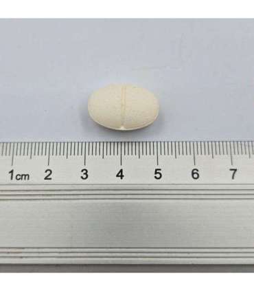 Game Dog AniFlexi Fit V2 100 kapsułek