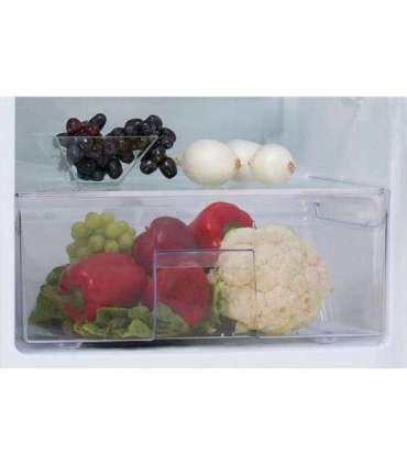 Fridge SNAIGE C29SM-T1002E1