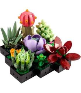 LEGO ICONS 10309 SUCCULENTS