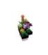 LEGO ICONS 10309 SUCCULENTS